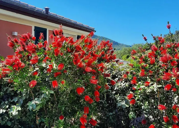 Aria Design Pensión